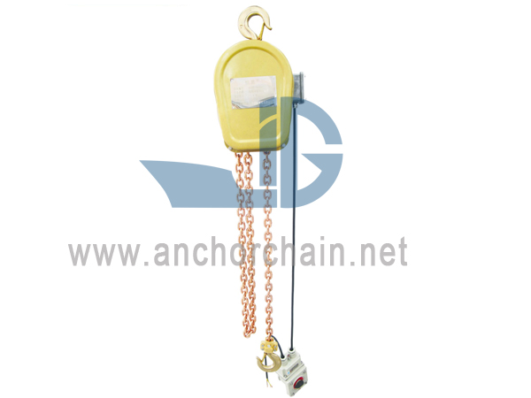 DHBS Tipi Patlamaya Dayanıklı Elektrikli Zincirli Vinç(Sabit Tip)